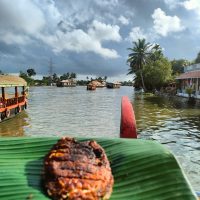 Backwaters & Wildlife